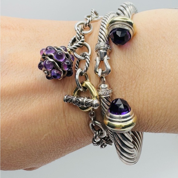 David Yurman Oval Link Charm Bracelet With Amethyst And Gold - Picture 6 of 8